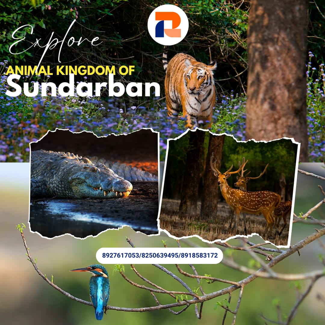 Sundarban