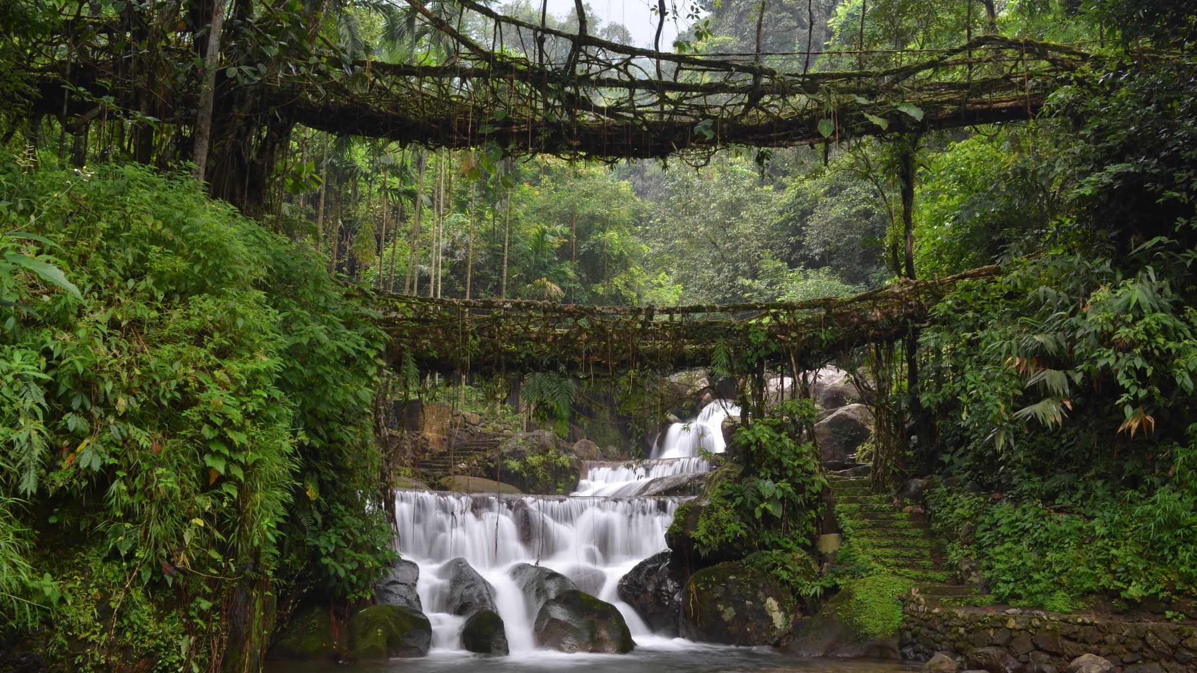 Meghalaya Standard Plan 5N/6D travel package image