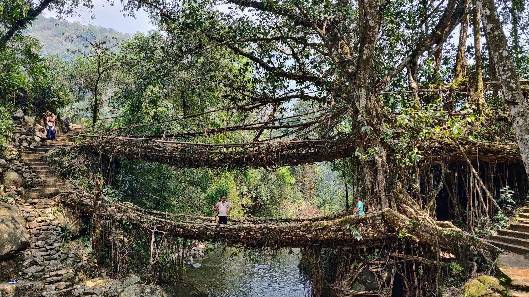 Meghalaya Deluxe Plan 4N/5D travel package image