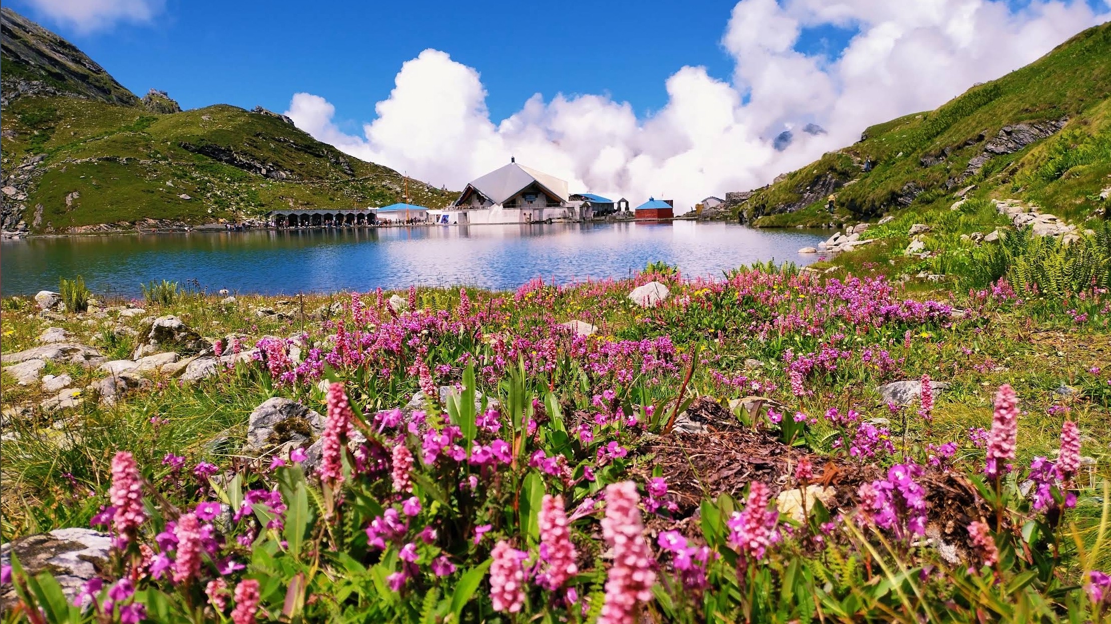 Valley of Flowers Trek with Hemkund Sahib 5N/6D without Transportation travel package image