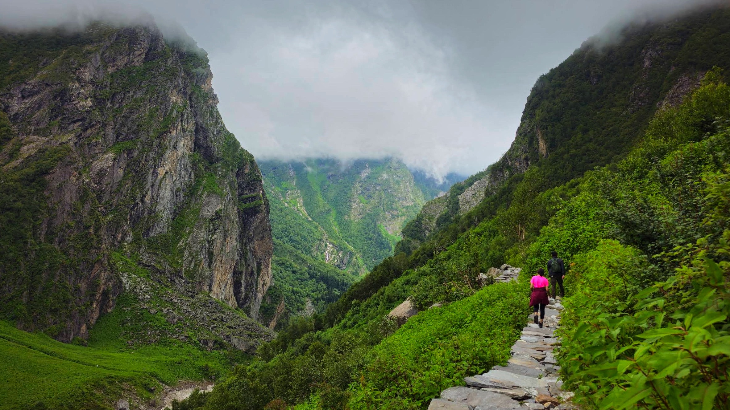 Valley of Flowers Trek with Hemkund Sahib 5N/6D with Transportation travel package image