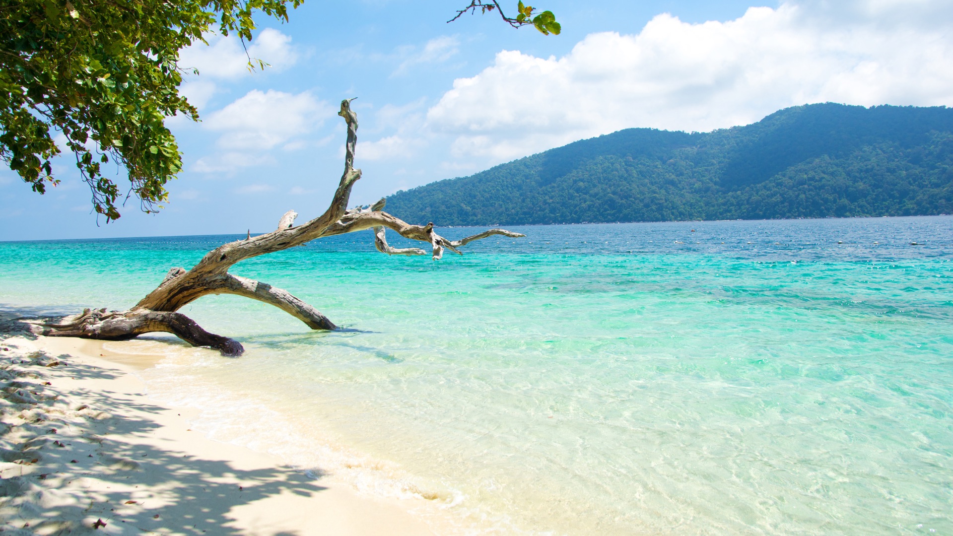 Andaman, Neil & Havelock STANDARD Adventures 3N/4D travel package image