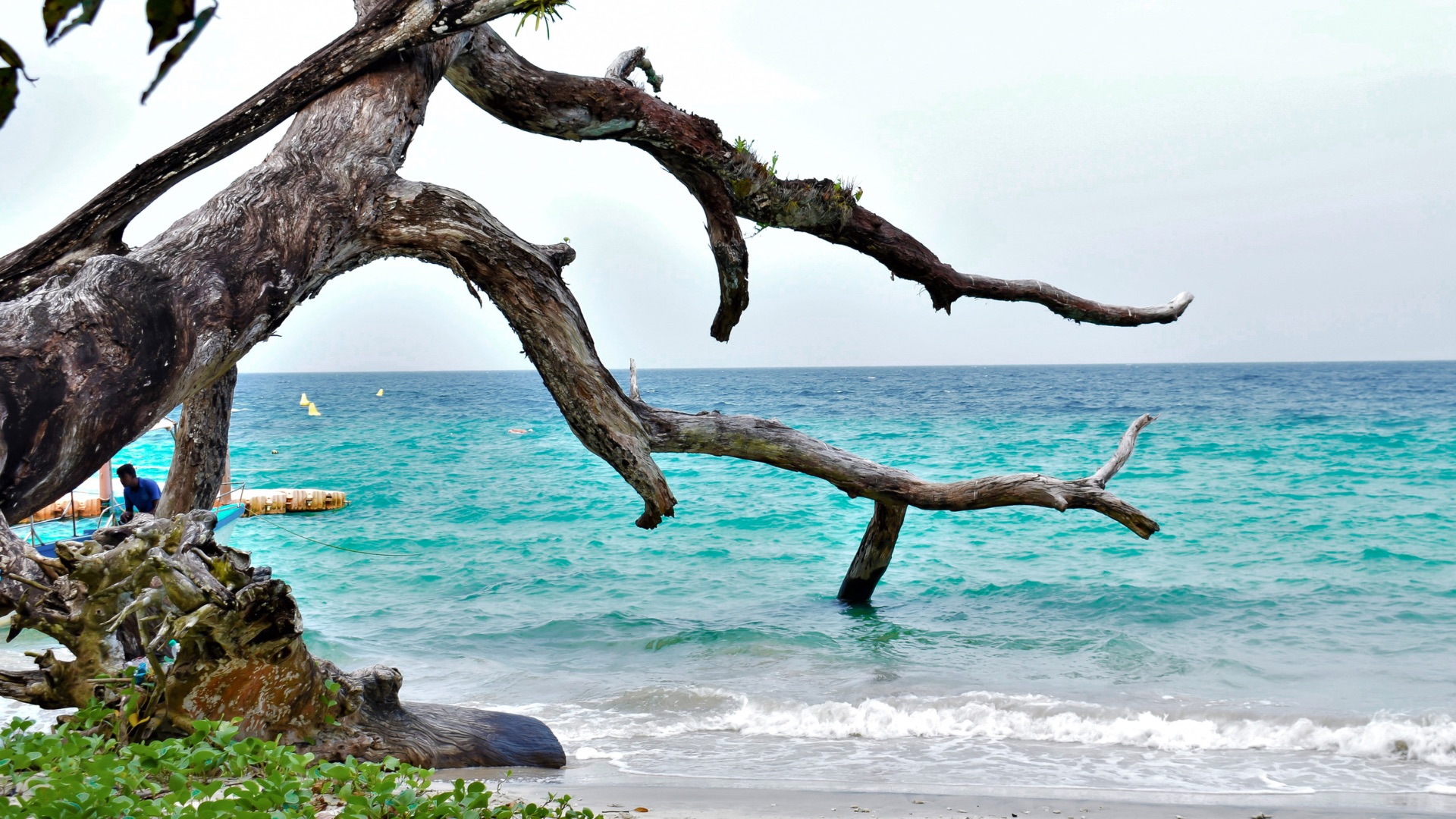 Andaman, Neil & Havelock DELUXE Adventures 4N/5D travel package image