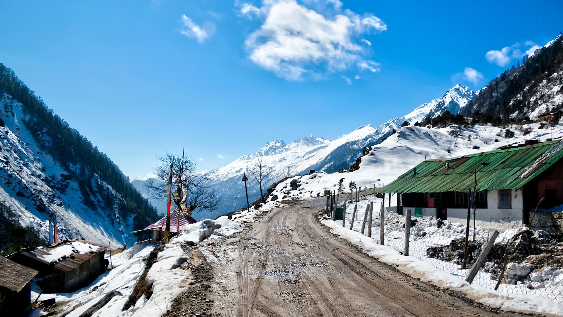 Gangtok, North Sikkim & Nathula 5N/6D budget all reserved plan travel package image