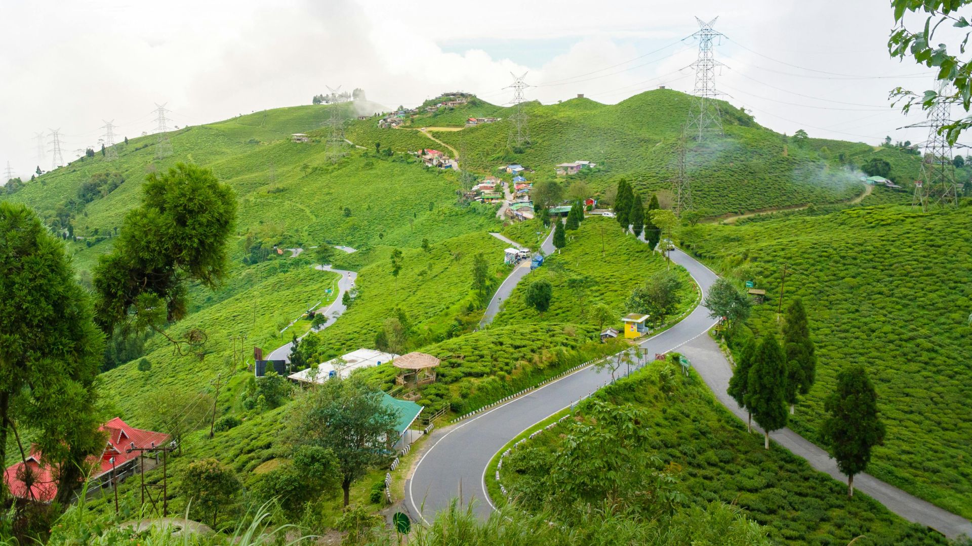 Tea & Forest Trail (Darjeeling → Dawaipani → Lamahatta) 3N/4D Plan