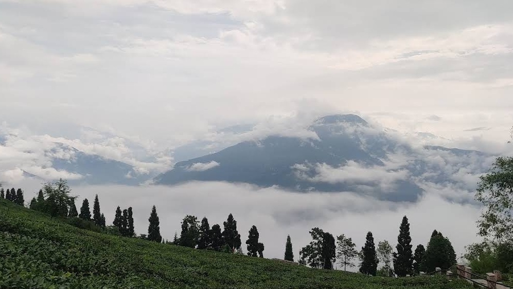 Pelling, Ravangla & Namchi 3N/4D budget reserved plan day 4 image