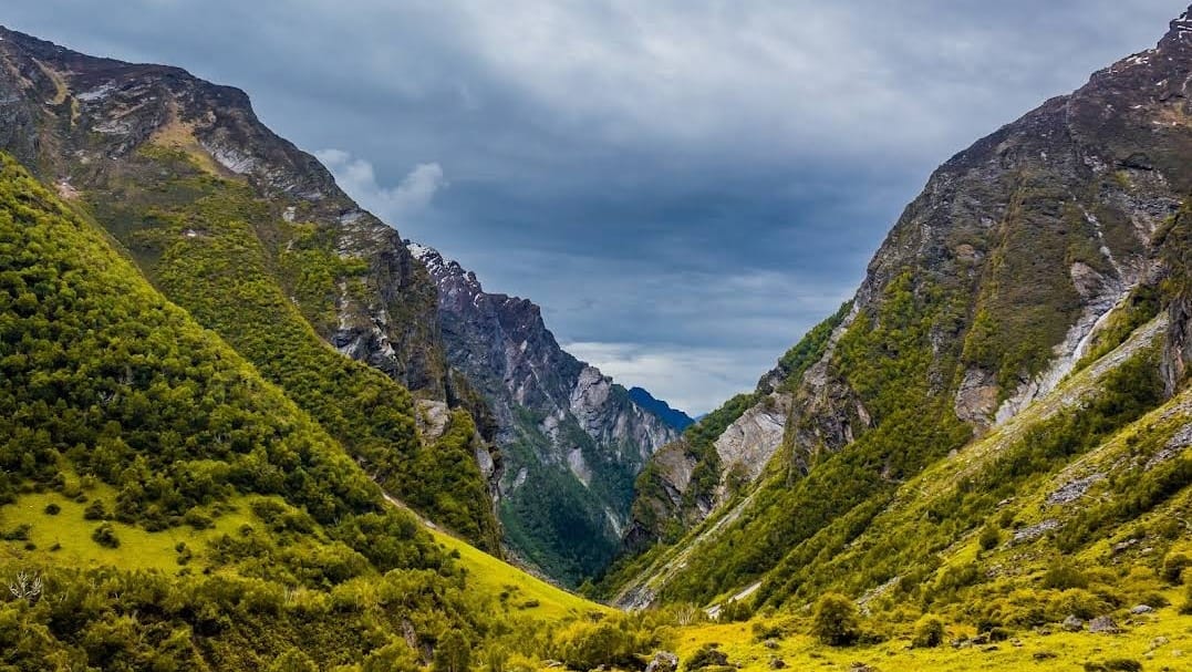 Valley of Flowers Trek with Hemkund Sahib 5N/6D with Transportation day 3 image