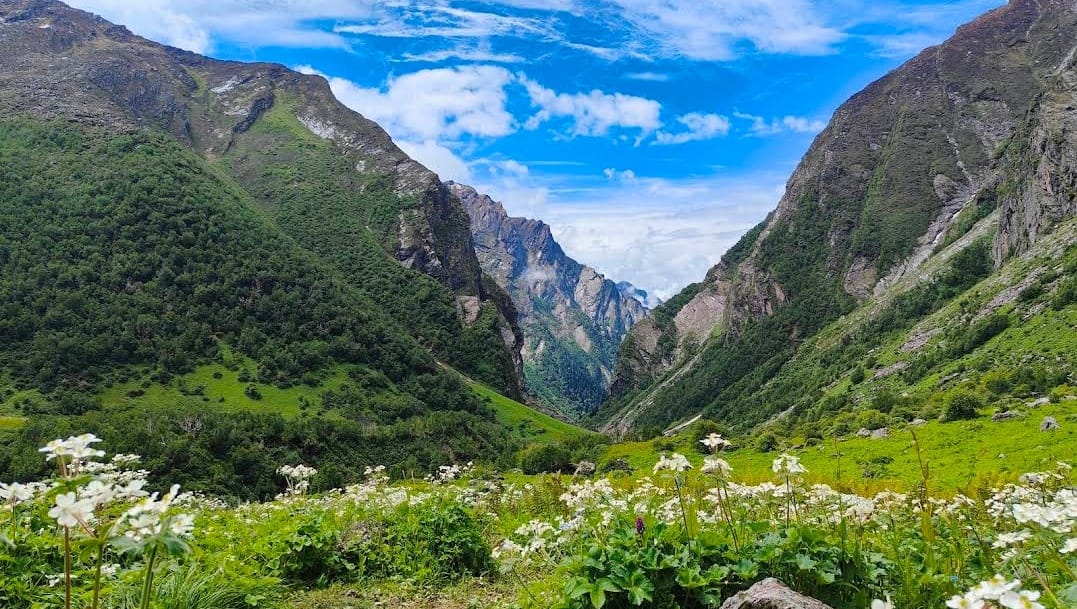 Valley of Flowers Trek with Hemkund Sahib 5N/6D with Transportation day 3 image