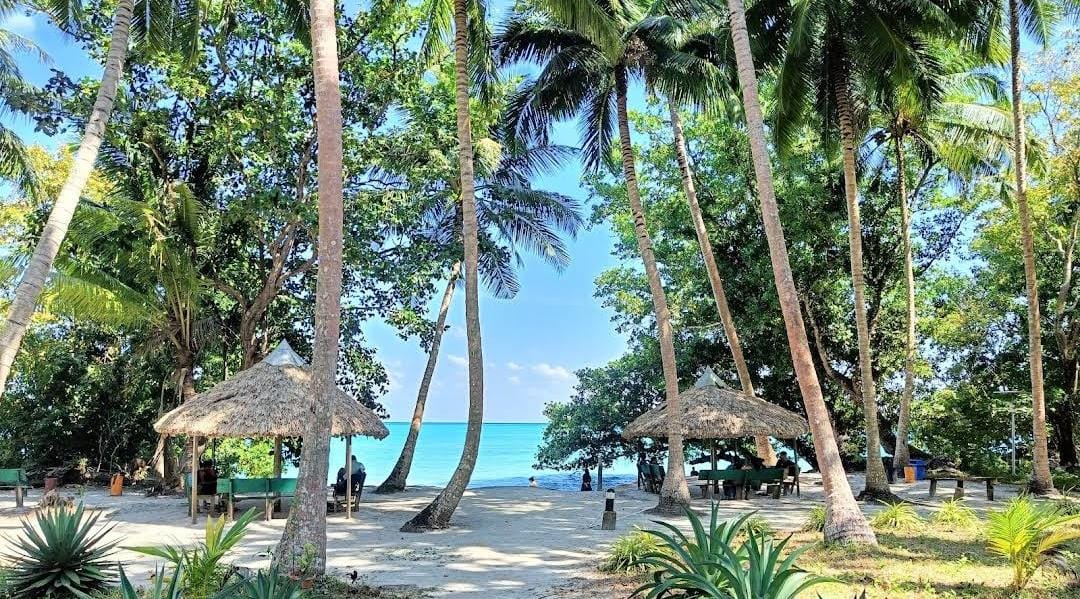Andaman, Neil & Havelock BUDGET Adventures 6N/7D day 2 image