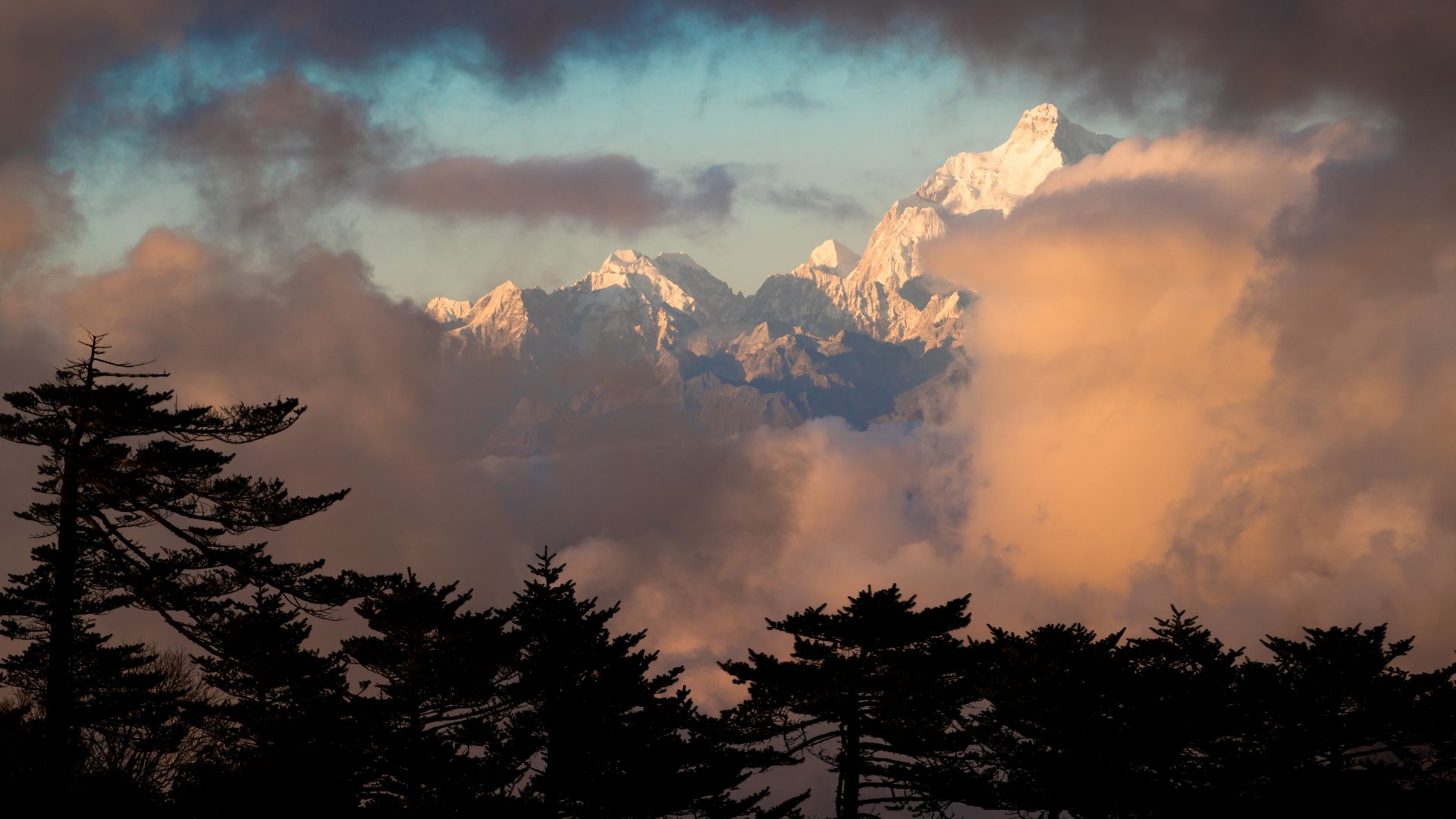 Gangtok 10 point & North Sikkim 5N/6D budget plan ex njp/siliguri/airport day 5 image