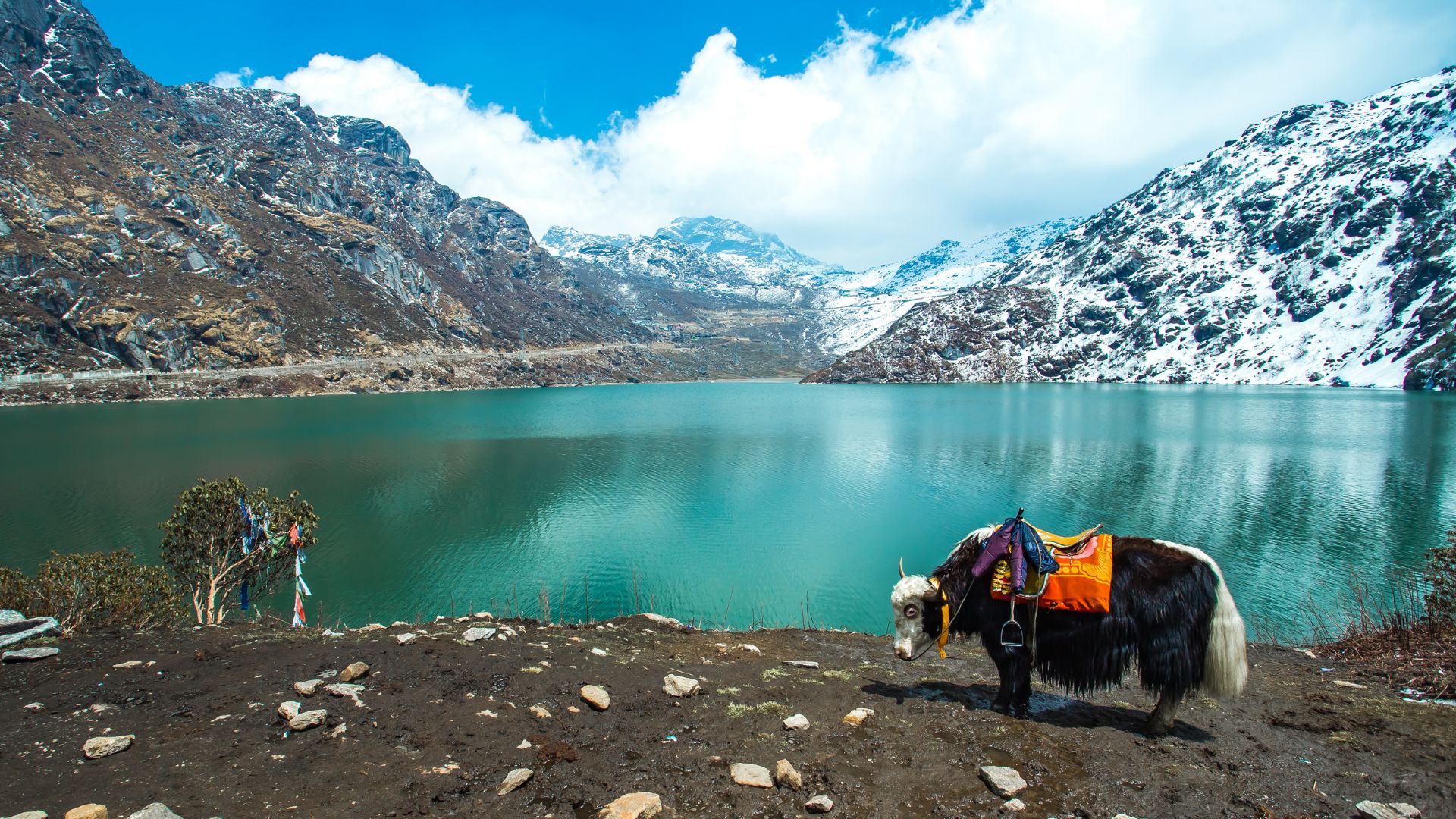 Gangtok, Lachen & Lachung 5N/6D deluxe all reserved plan day 2 image