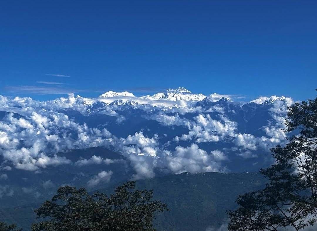 Darjeeling Valley Circuit (Darjeeling → Bijanbari → Lamahatta) 3N/4D Plan day 3 image