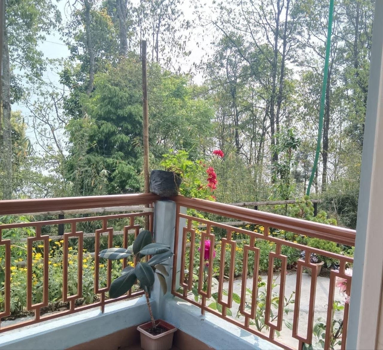 Himalayan Signature (2N Darjeeling → 1N Lamahatta → 1N Tinchuley) 4N/5D Plan day 4 image
