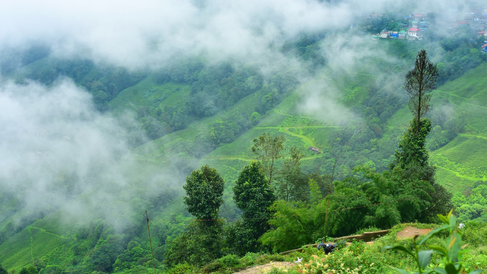Himalayan Signature (2N Darjeeling → 1N Lamahatta → 1N Tinchuley) 4N/5D Plan day 4 image
