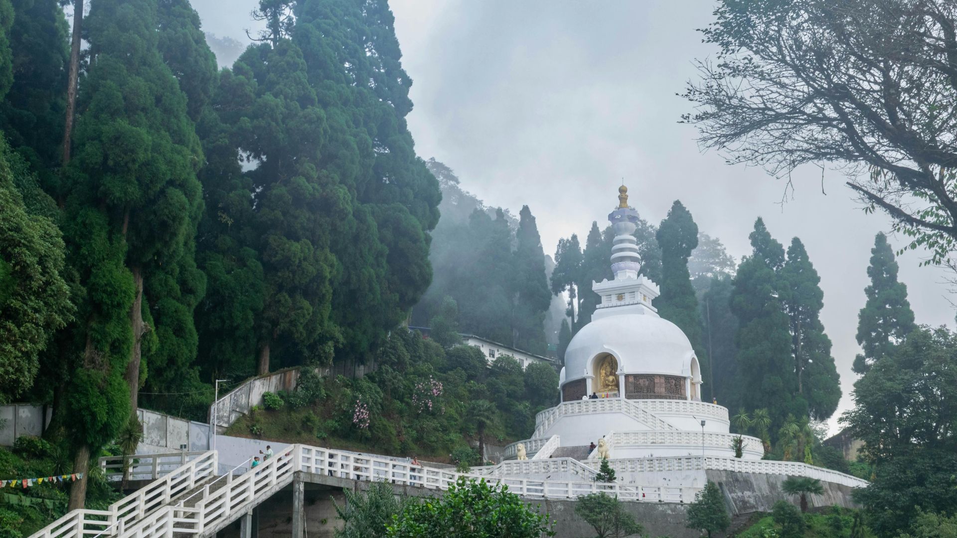 Darjeeling & Kalimpong Explorer (2N Darjeeling → 2N Kalimpong) 4N/5D Plan day 2 image