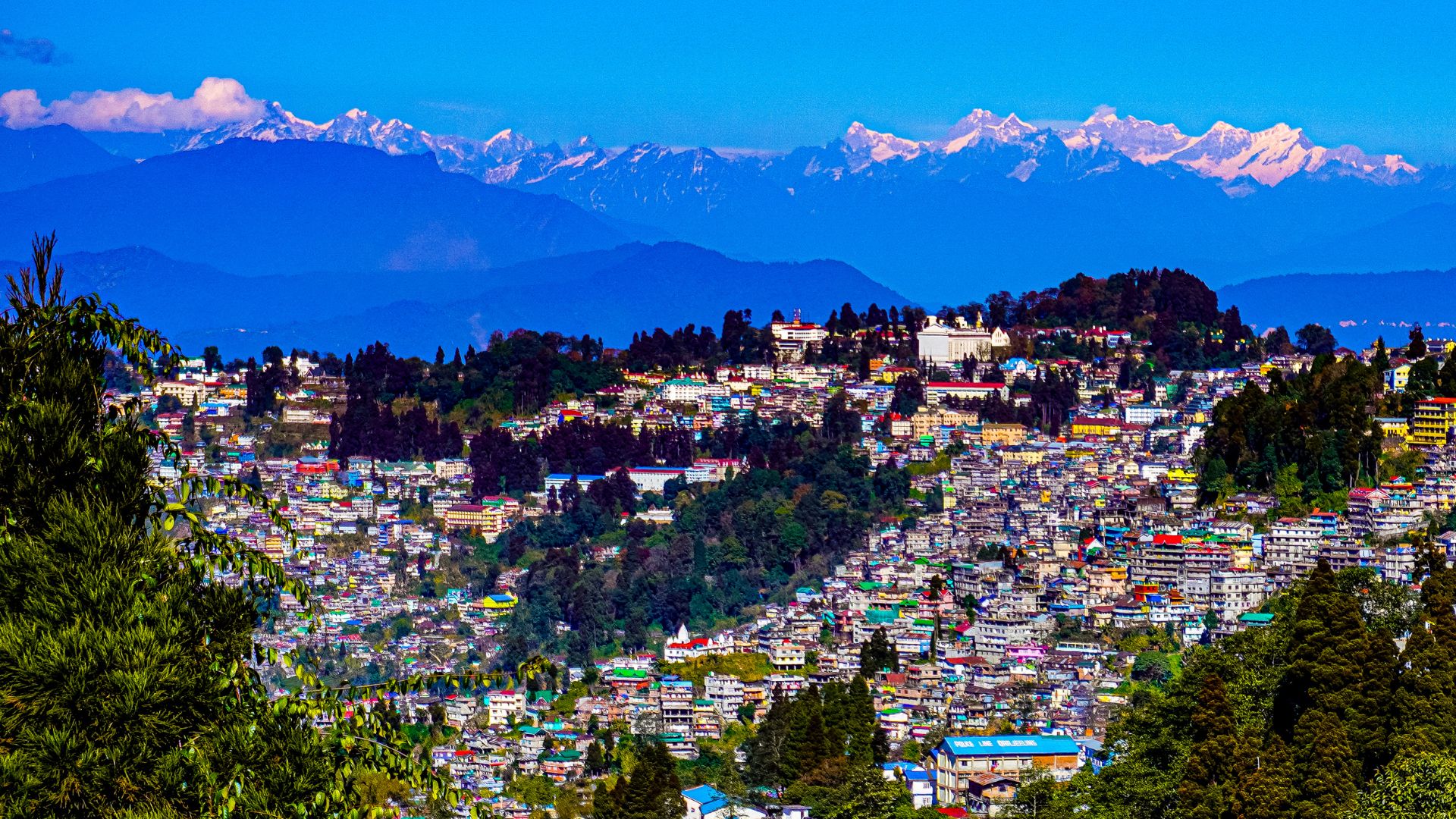 Darjeeling & Kalimpong Explorer (2N Darjeeling → 2N Kalimpong) 4N/5D Plan day 2 image
