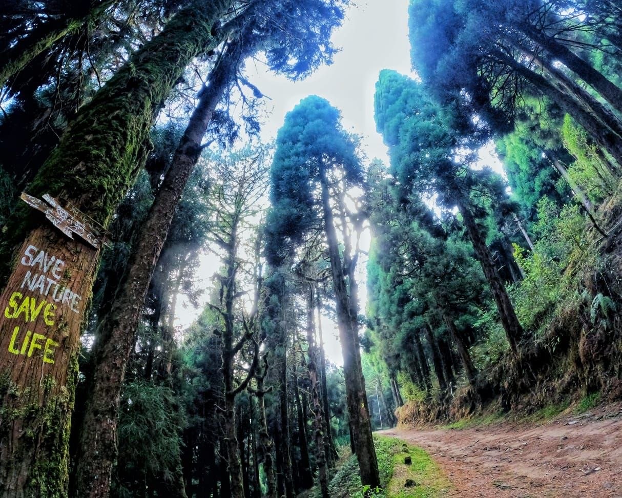 Dhotrey – Sandakphu – Phalut – Gorkhey Trek – 7N/8D day 1 image