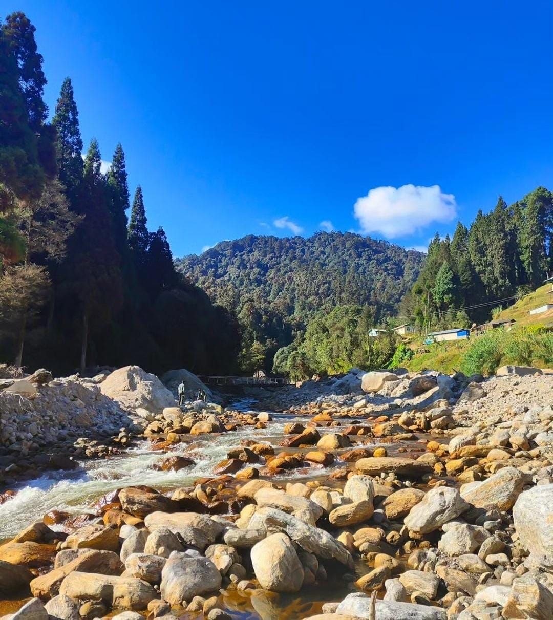 Dhotrey – Sandakphu – Phalut – Gorkhey Trek – 7N/8D day 6 image