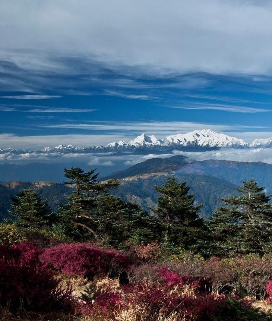 Ultimate Sandakphu Himalayan Traverse 7N/8D (Manebhanjang – Phalut – Srikhola Exit) day 2 image