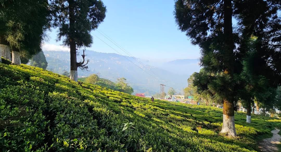 Valley View Homestay