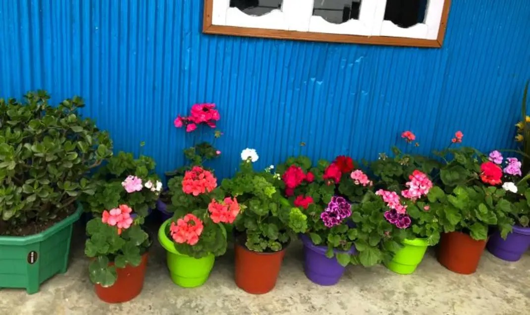 Mingma Homestay