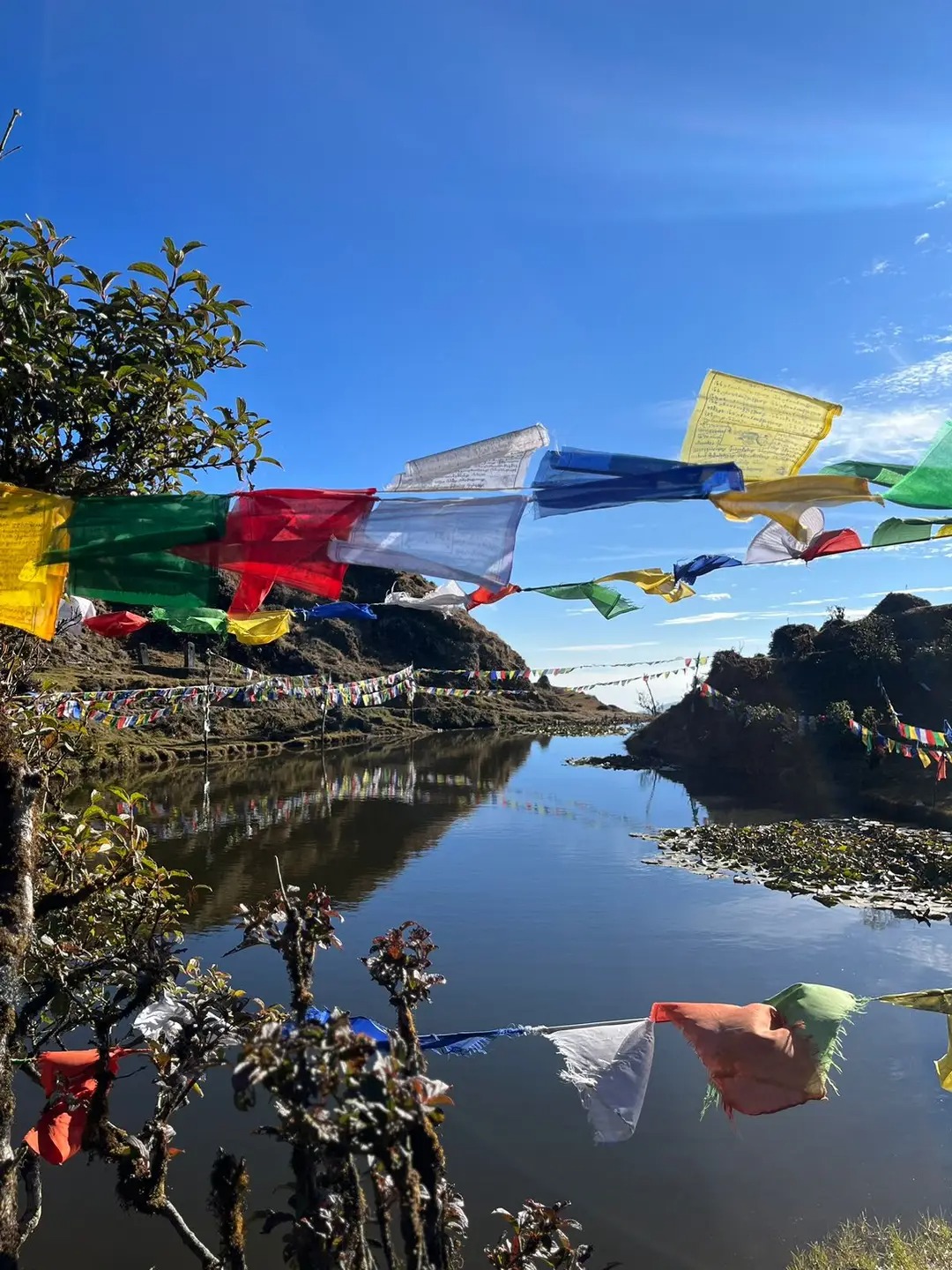 Kanchenjunga Homestay