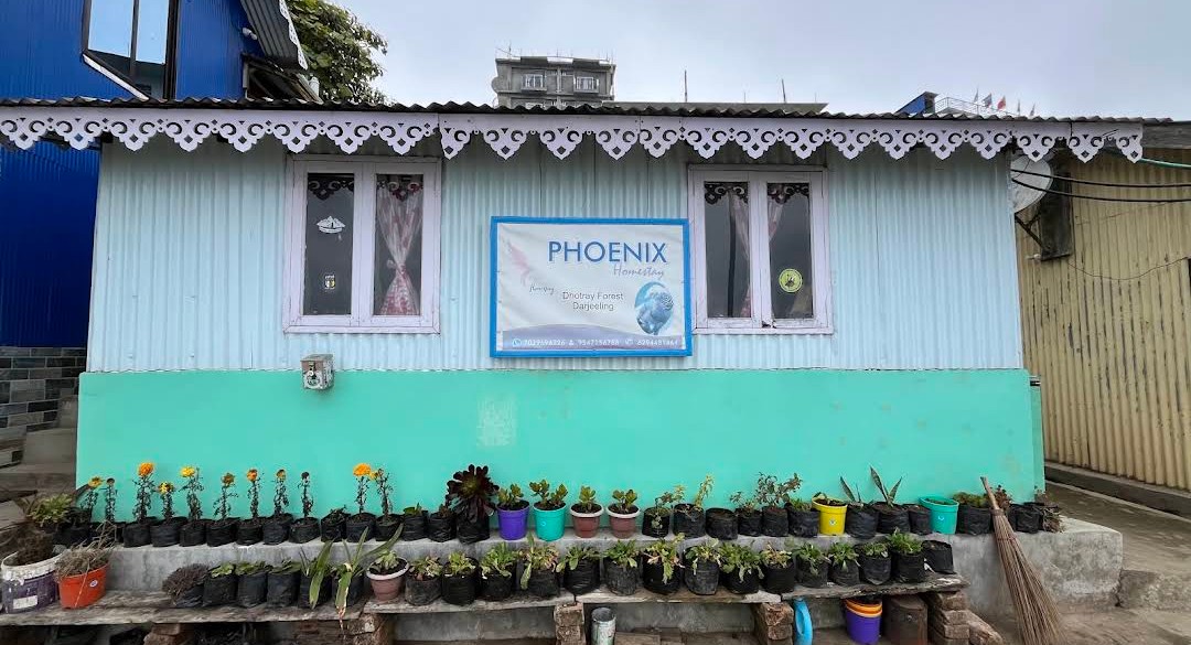 Phoenix Homestay