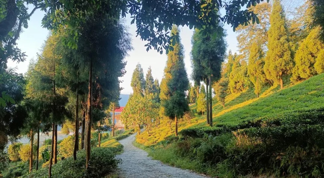 Panch Pokhari Homestay