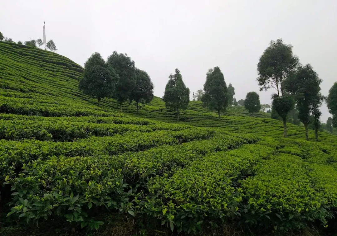 Panch Pokhari Homestay