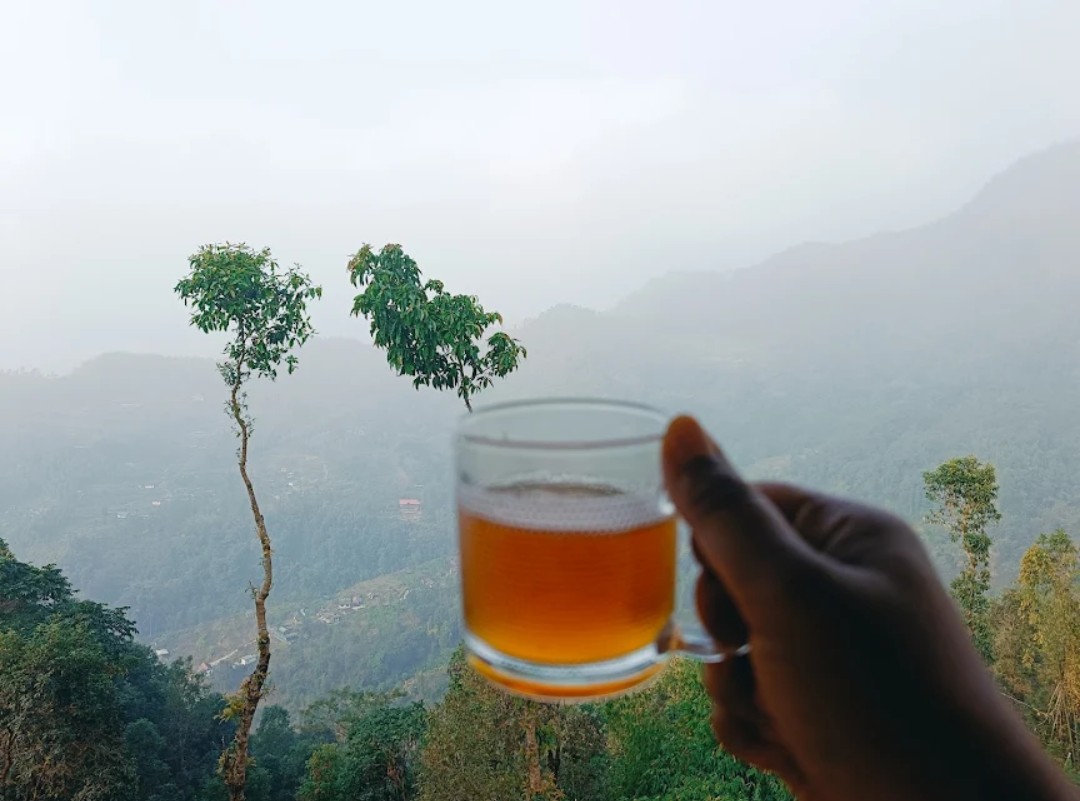 Abhinay Natural Homestay