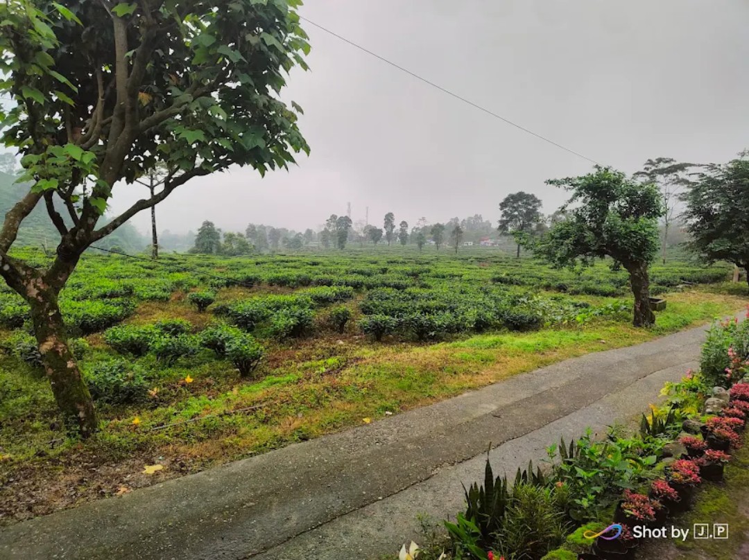 Resango Homestay