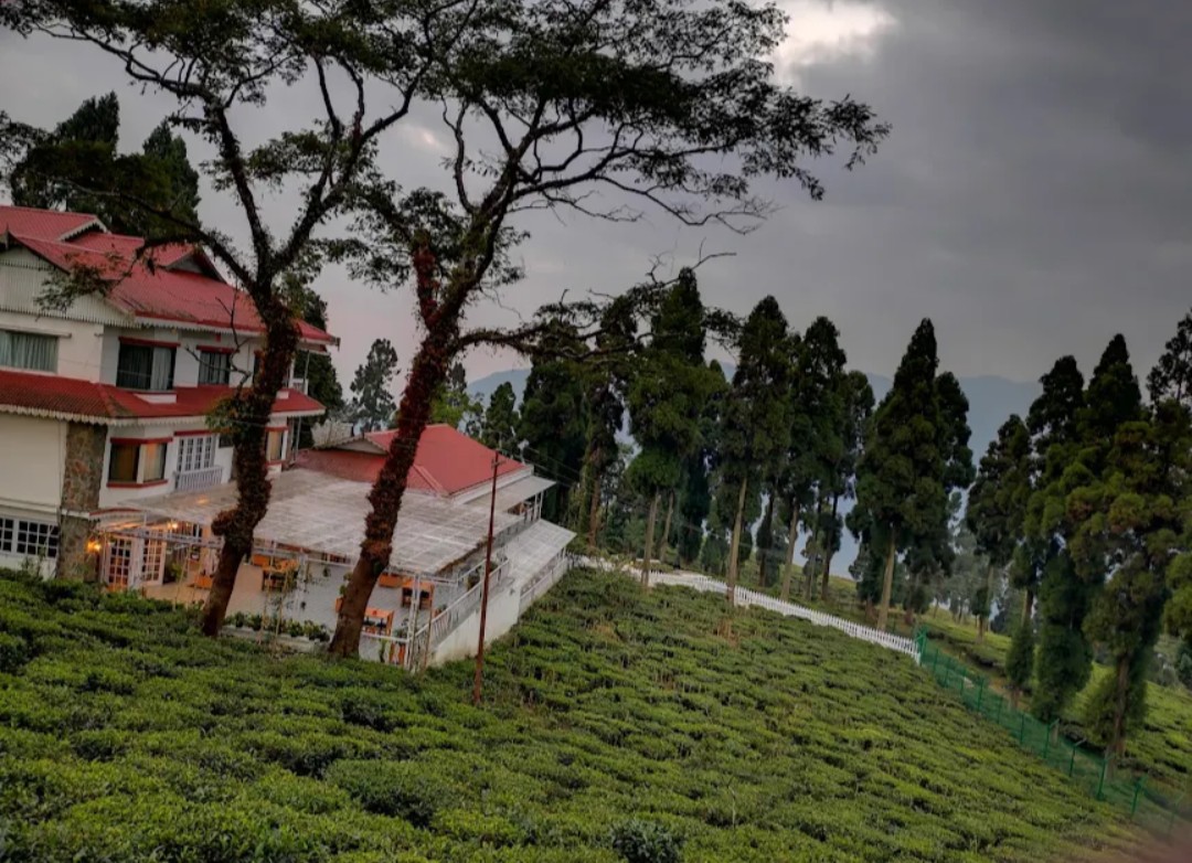 Sourenee Tea Estate & Boutique Resort