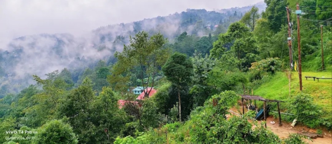 Shiwani Homestay